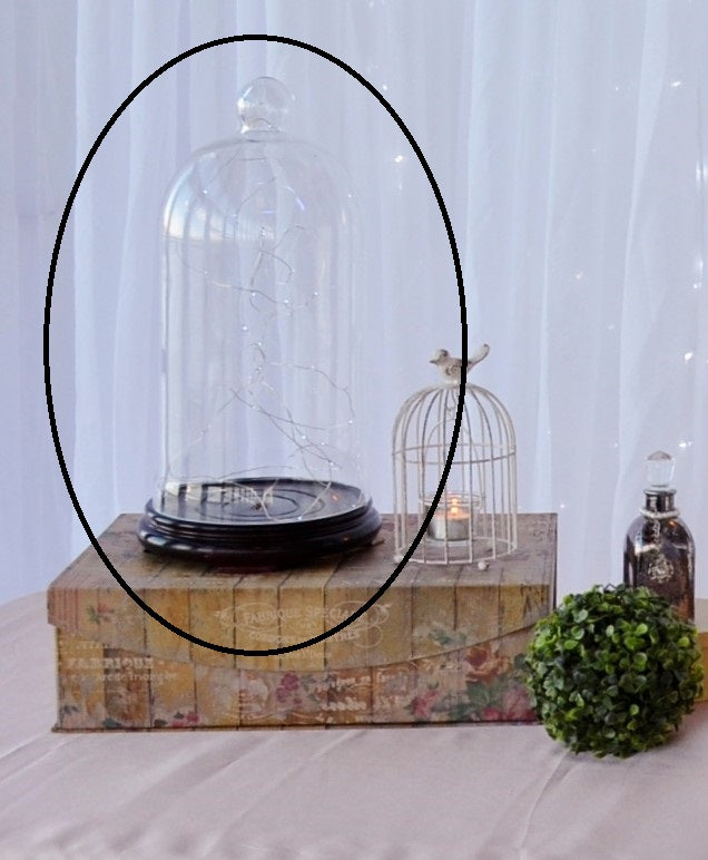 Accents - Glass Dome with Wood Base & lights